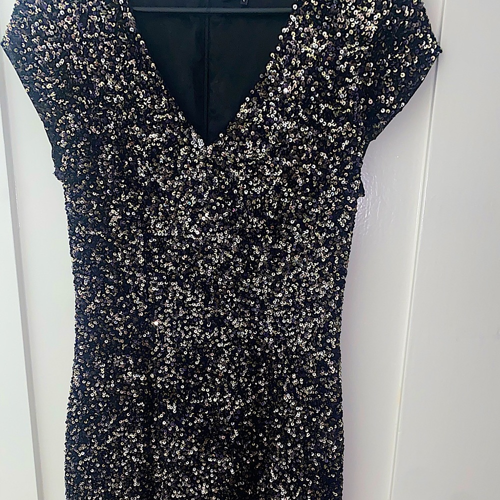 Parker Sequin Dress worn twice size 4-6